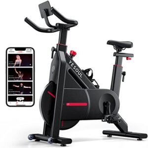 YESOUL Exercise Bike Spin Bike for Home - 100 Level Magnetic Resistance Bluetooth Stationary Bike Big iPad Mount Indoor Workout (Black)