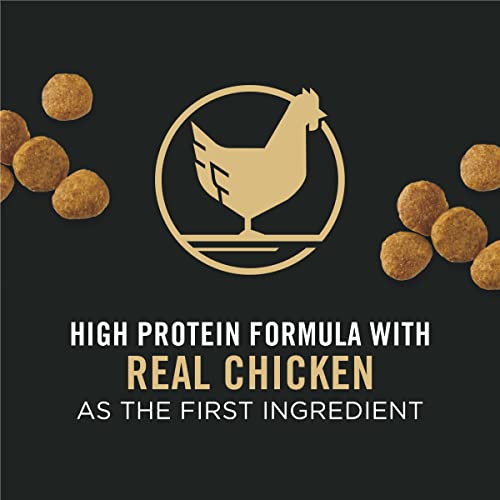 Purina Pro Plan High Protein Dry Puppy Food, Chicken and Rice Formula - 34 lb. Bag