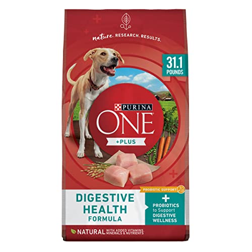 Purina ONE Dog Digestive Support, Natural Dry Dog Food, +Plus Digestive Health Formula - 31.1 lb. Bag