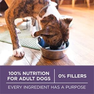 Purina ONE High Protein Dry Senior Dog Food Plus Vibrant Maturity Adult 7 Plus Formula - 16.5 lb. Bag