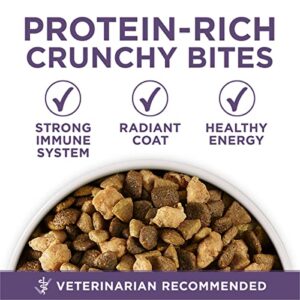 Purina ONE High Protein Dry Senior Dog Food Plus Vibrant Maturity Adult 7 Plus Formula - 16.5 lb. Bag