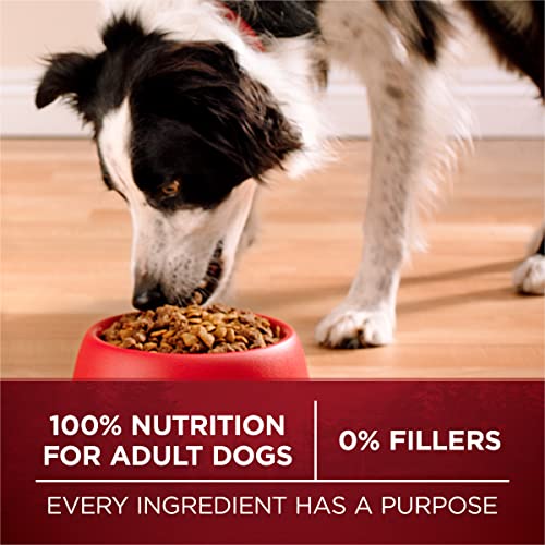 Purina ONE True Instinct With A Blend Of Real Turkey and Venison Dry Dog Food - 36 lb. Bag