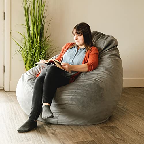 Big Joe Lotus Foam Filled Teardrop Bean Bag Chair with Removable Cover, Gray Plush, 4ft Big