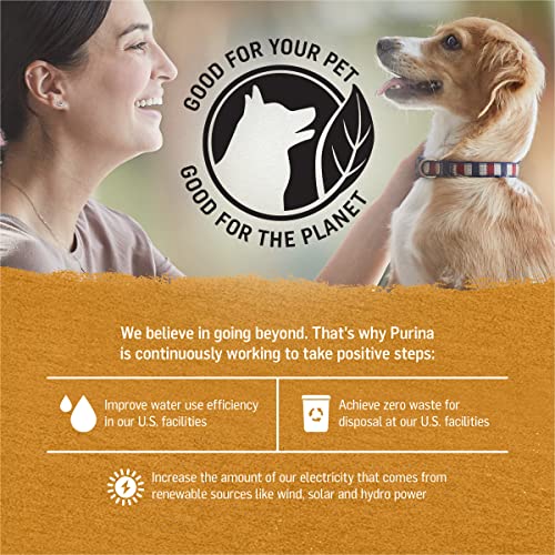 Purina Beyond Chicken and Sweet Potato in Gravy Grain Free Wet Dog Food - (12) 12.5 oz. Cans