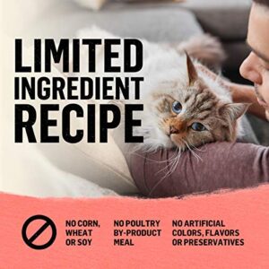 Purina Beyond Grain Free, Natural Dry Cat Food, Simply Indoor Salmon, Egg & Sweet Potato Recipe - 3 lb. Bag