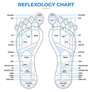 Daiwa Felicity Reflexology Acupressure Foot Therapy Disc & Shiatsu Massaging Magnetic Insoles Bundle