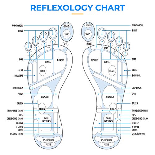 Daiwa Felicity Reflexology Acupressure Foot Therapy Disc & Shiatsu Massaging Magnetic Insoles Bundle