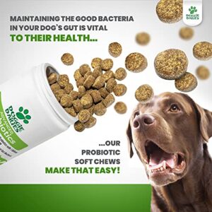 Doggie Dailies Probiotics for Dogs, Advanced Dog Probiotics with Prebiotics, Promotes Digestive Health, Supports Immune System and Overall Health (Duck)