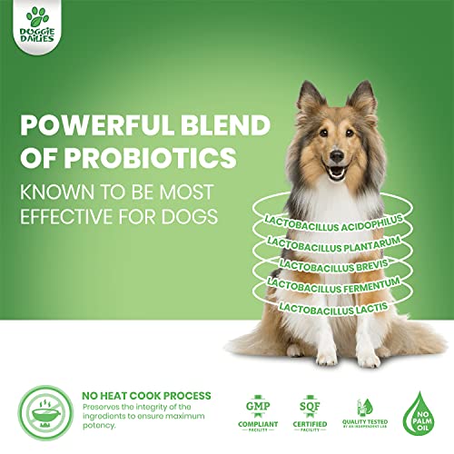 Doggie Dailies Probiotics for Dogs, Advanced Dog Probiotics with Prebiotics, Promotes Digestive Health, Supports Immune System and Overall Health (Duck)