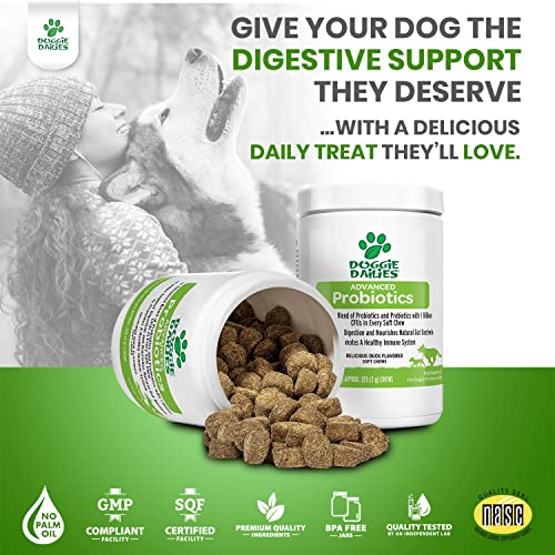 Doggie Dailies Probiotics for Dogs, Advanced Dog Probiotics with Prebiotics, Promotes Digestive Health, Supports Immune System and Overall Health (Duck)