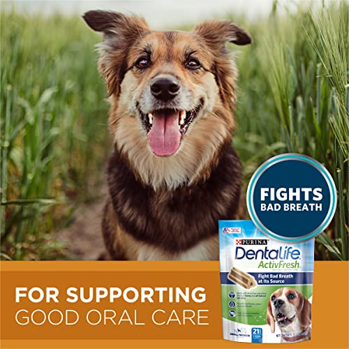 Purina Bundle Pack Adult Dry Dog Food and Treats, ONE Chicken and Rice Formula with DentaLife ActivFresh