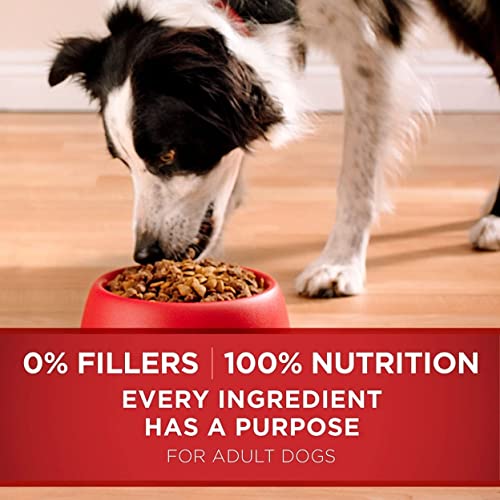 Purina ONE Smartblend Natural Lamb & Rice Formula Adult Dry Dog Food (44 Lbs.), 44 Lb