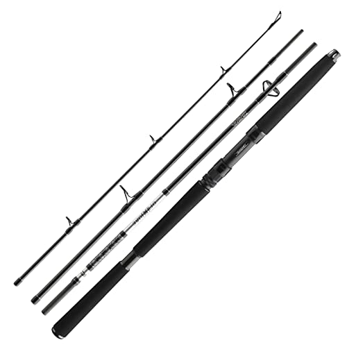 DAIWA BG Offshore Travel H, Jigger Fishing Rod, 8 Feet 10 Inch