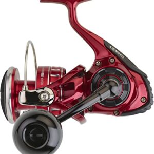 Daiwa Moulinet BG RR LT 8000 P ARK