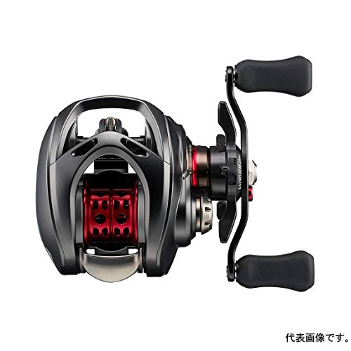 Daiwa Bait Reel 20, Steez AIR TW 500XXHL (2020 Model)