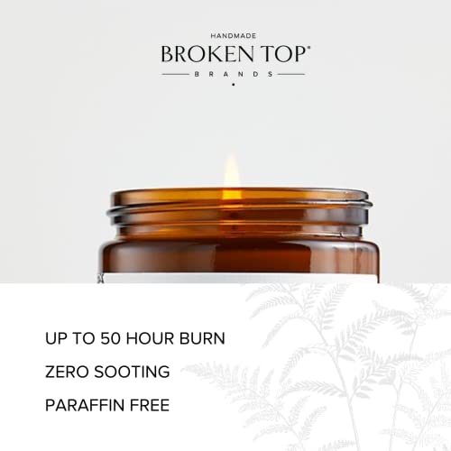 Broken Top - Coastal Rainfall|9 oz. Cucumber, Violet & Foliage. Pure Soy Wax Candle. 50-Hour Burn Time. Natural Cotton Wick, Vegan, No Parabens, No Phthalates