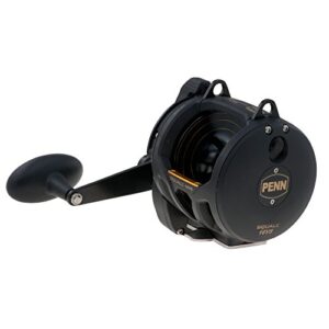 Penn 1292936 16VS Squall Lever Drag 2 Speed Reel, 725/20