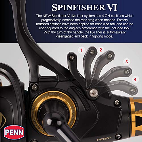 PENN 1481261 Spinfisher VI Spinning Saltwater Reel, 3500 Reel Size, 6.2: 1 Gear Ratio, 37" Retrieve Rate, 6 Bearings, Ambidextrous Black Gold