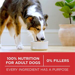 Purina ONE Natural Dry Dog Food, SmartBlend Lamb & Rice Formula - 40 lb. Bag