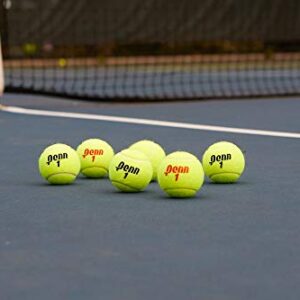 Penn Championship Tennis Balls - Extra Duty Felt Pressurized Tennis Balls - 24 Cans, 72 Balls