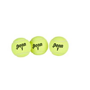 Penn Championship Tennis Balls - Extra Duty Felt Pressurized Tennis Balls - 24 Cans, 72 Balls