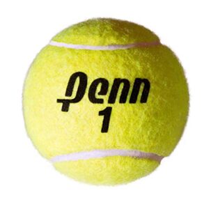 Penn Championship Tennis Balls - Extra Duty Felt Pressurized Tennis Balls - 24 Cans, 72 Balls