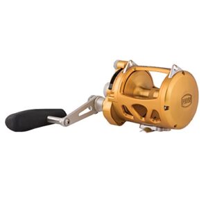 PENN International VIS 2 Speed Reel