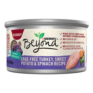 purina beyond cage-free turkey, sweet potato and spinach recipe in wet cat food gravy – (12) 3 oz. cans