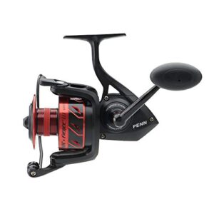 PENN® Fierce® III Reel