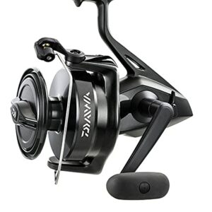 Daiwa Reel Saltwater Spin, 1, 3.4 : 1