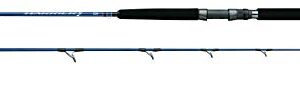 Daiwa HRX66MHS Harrier-X Jigging Series, Sections= 1, Line Wt.= 50-100, Lure Weight= 80-200G