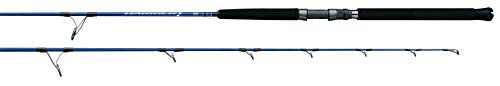 Daiwa HRX66MHS Harrier-X Jigging Series, Sections= 1, Line Wt.= 50-100, Lure Weight= 80-200G