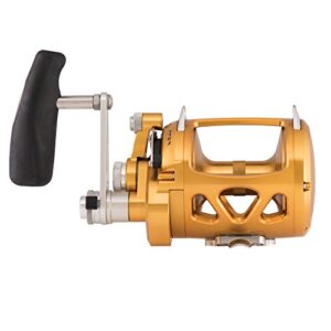 Penn International VIS 2 Speed Reel , Gold, 30