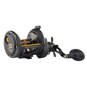 Penn Squall II Star Drag Conventional Fishing Reel, SQLII12SDLH