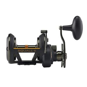 Penn Squall II Star Drag Conventional Fishing Reel, SQLII12SDLH