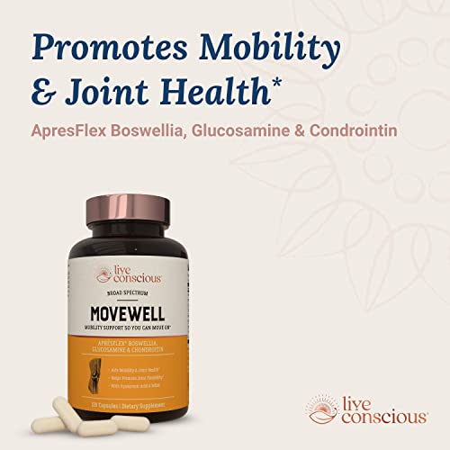 Glucosamine Chondroitin with MSM, Hyaluronic Acid, and More - MoveWell by LiveWell | Joint Health Supplement