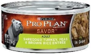 pro plan turkey, peas & brown rice entree adult canned dog food