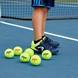 Penn Championship - Extra Duty Felt Pressurized Tennis Balls - (2 Cans, 6 Balls)