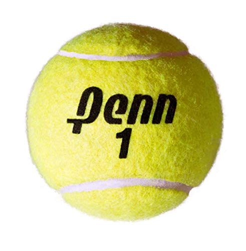 Penn Championship - Extra Duty Felt Pressurized Tennis Balls - (2 Cans, 6 Balls)