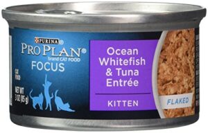 purina pro plan canned kitten ocean whitefish and tuna food, 3 oz.