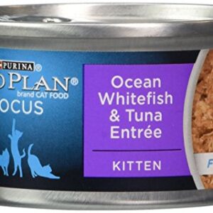 Purina Pro Plan Canned Kitten Ocean Whitefish And Tuna Food, 3 Oz.