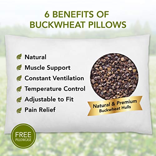 Daiwa Felicity 100% Natural Premium Buckwheat Sobakawa Pillow with Pillow Protective Cover (2 Pack)