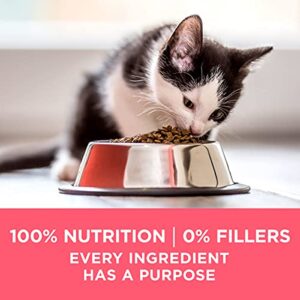 Purina ONE High Protein, Natural Dry Kitten Food, +Plus Healthy Kitten Formula - 3.5 lb. Bag