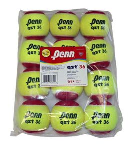 penn qst 36 tennis balls – youth felt red tennis balls for beginners, 12 ball polybag