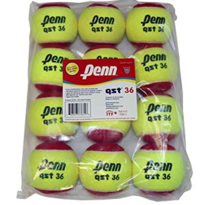 Penn QST 36 Tennis Balls - Youth Felt Red Tennis Balls for Beginners, 12 Ball Polybag