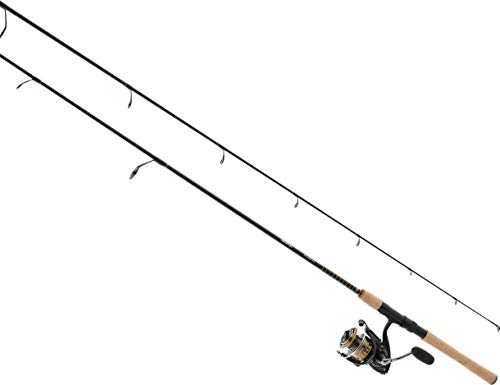 Daiwa BG2500/701MML BG Saltwater Pre-Mounted Combo, 2500, 5.1 Gear Ratio, 6 + 1 Bearing, 7', 1Piece, Spinning