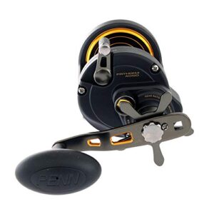 Penn FTHII40SD Fathom II Star Drag Reel, 7 Brg, 6.1:1, Rnd,420/30#