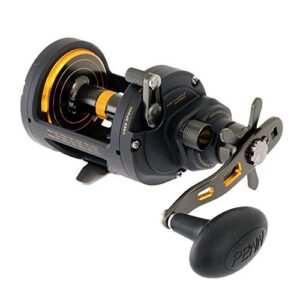 Penn FTHII40SD Fathom II Star Drag Reel, 7 Brg, 6.1:1, Rnd,420/30#