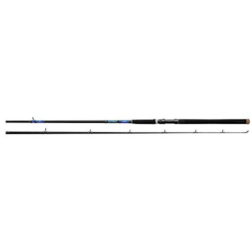 Fishing Rod Beefstick Surf Rod.Sections= 2 Line Wt. = 17-40