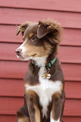 2 Extra Loud Cat & Dog Bells | Pet Tracker | Save Birds & Wildlife | Luxury Handmade Copper | Beau's Bells (Medium)